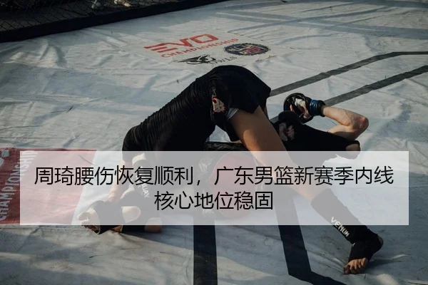 周琦腰伤恢复顺利，广东男篮新赛季内线核心地位稳固